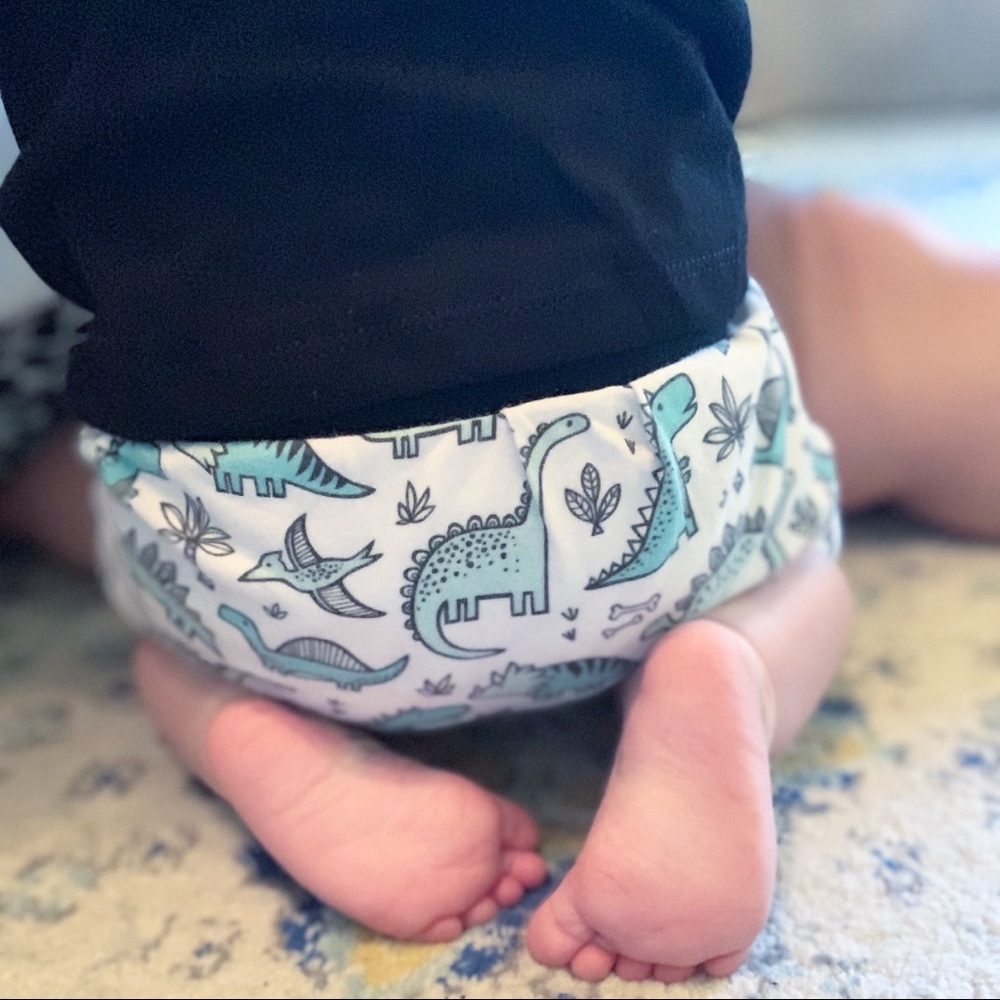 Dinosaur boy bummies